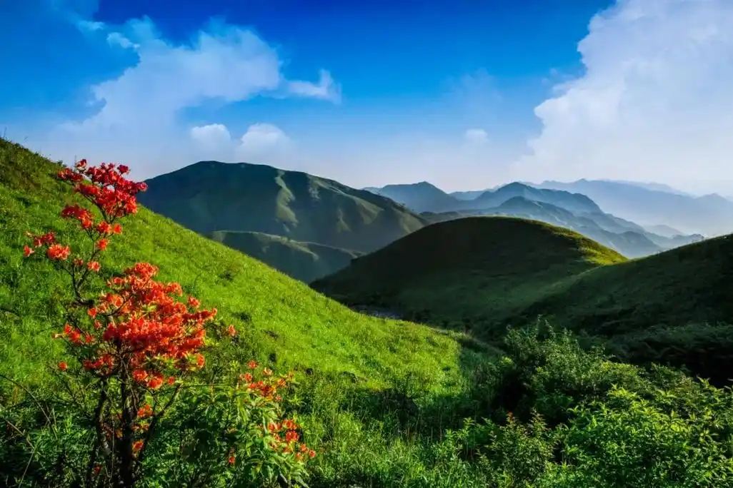 萍乡武功山风景名胜区正式荣获中国天然氧吧称号!