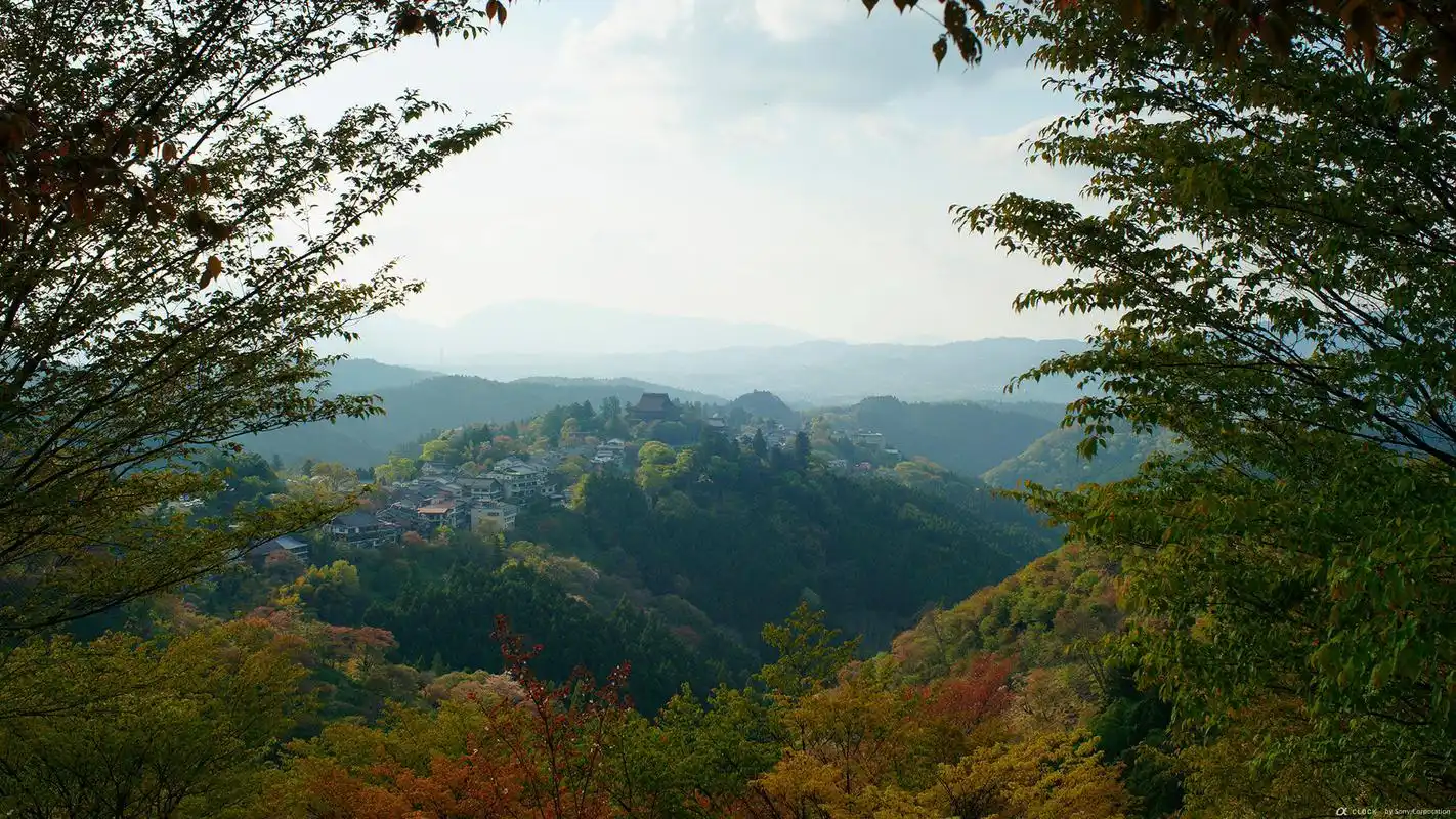 日本吉野山世界最美24小时旅游胜地壁纸高清大图预览1920x1080_风景