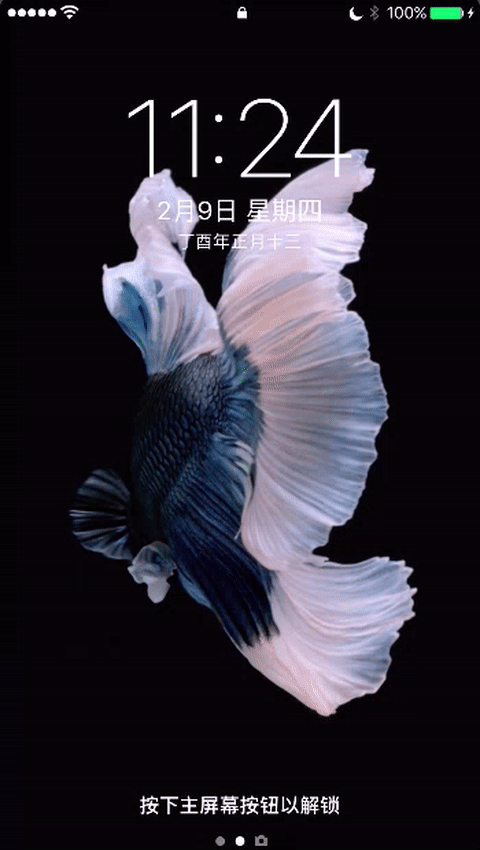 480_850竖版 竖屏gif 动态图 动图