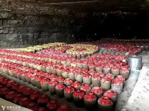 地窖藏酒酒更醇香