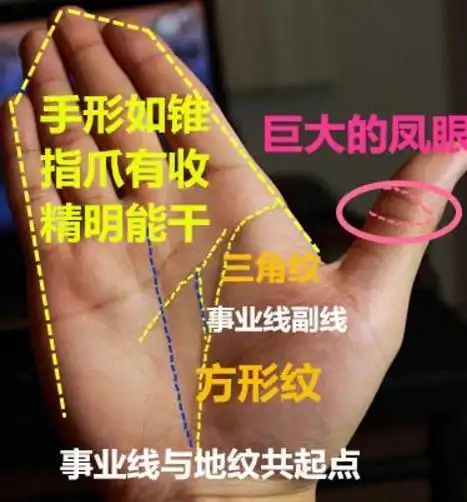 手相巨大的凤眼纹.