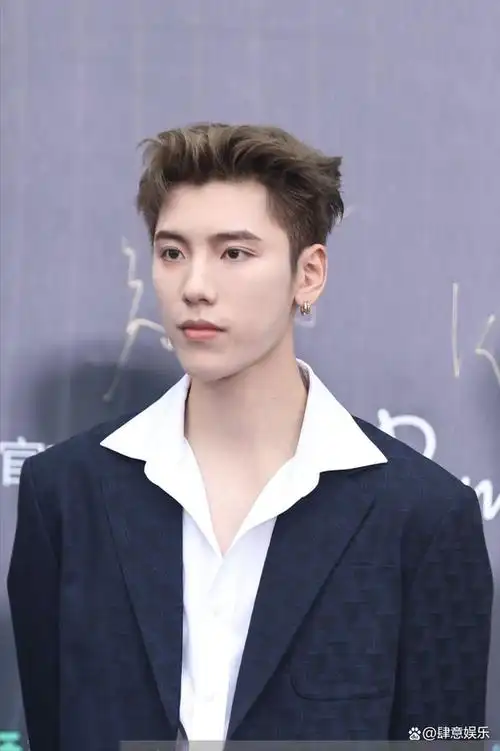 王子异大变脸,是粉丝说的变瘦而已,还是网友认为的整容了?