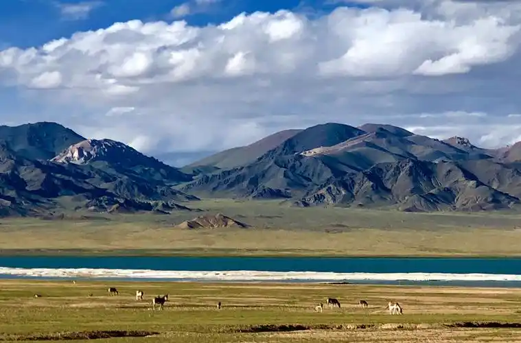 三十三天(d24天),西藏,阿里大环线单车自驾:踏入羌塘无人区,身临秘境