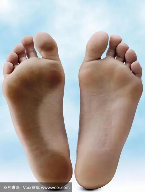 足,垂直画幅,彩色图片,人类脚趾,干净