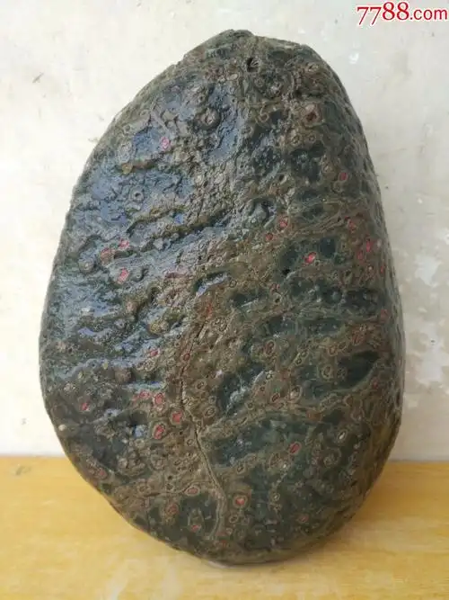 洛阳奇石345梅花石原石"古梅新颜"(苍劲古老的一棵梅树开出了点点红梅