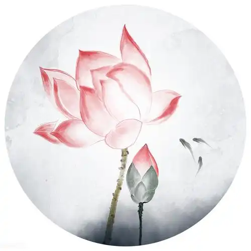 禅意静心唯美意境,古风仙仙荷韵写意之美