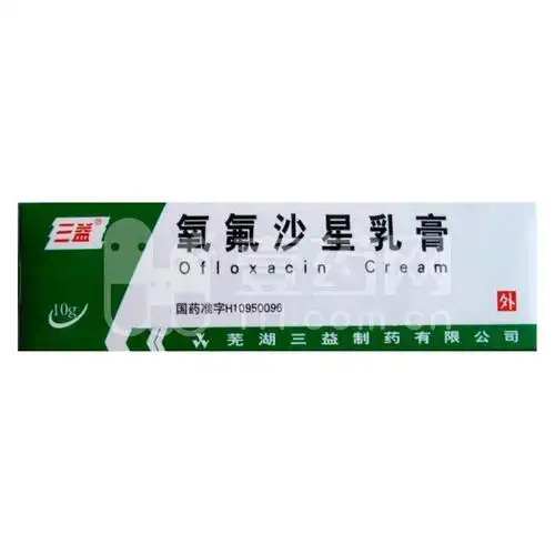 其他 氧氟沙星乳膏 0.0030