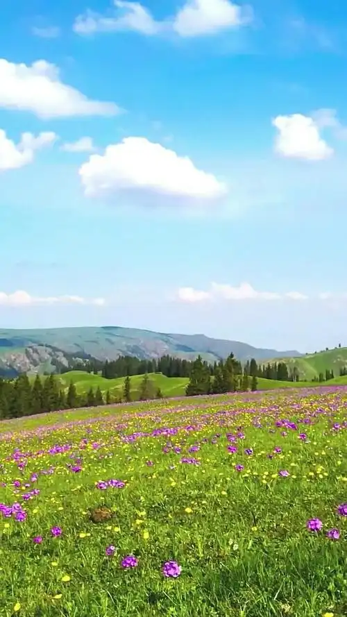 蓝天白云大草原梦中的家