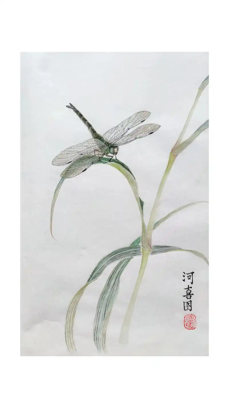 蜻蜓.#每日一画 #国画 #因为热爱所以坚持 #工笔画 #工 - 抖音