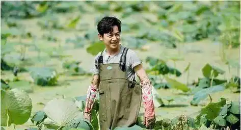 开播五季,张子枫变"唠叨",导演眼光真的很毒辣_黄磊_何炅_嘉宾