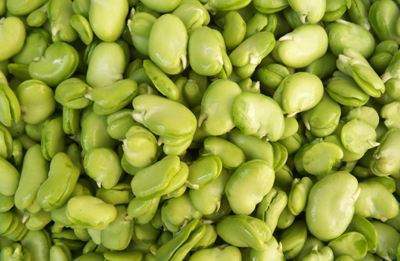 果益膳旗舰店的优惠券大全—新鲜蔬菜蚕豆米胡豆新鲜云南蚕豆米去壳