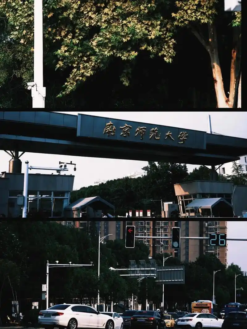 95:#南京师范大学 #仙林大 - 抖音