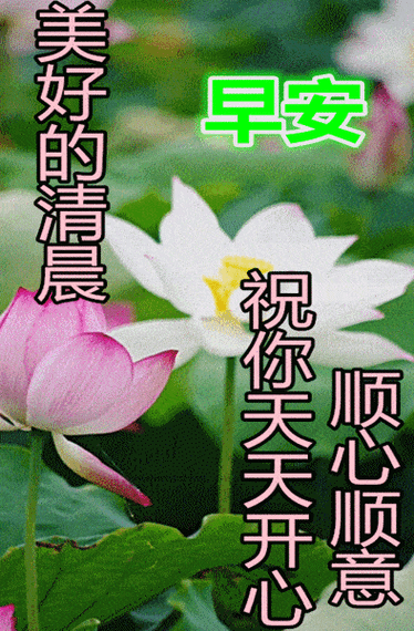 周四新版漂亮早上好问候动态图带字冬日早安问候祝福语图片带字