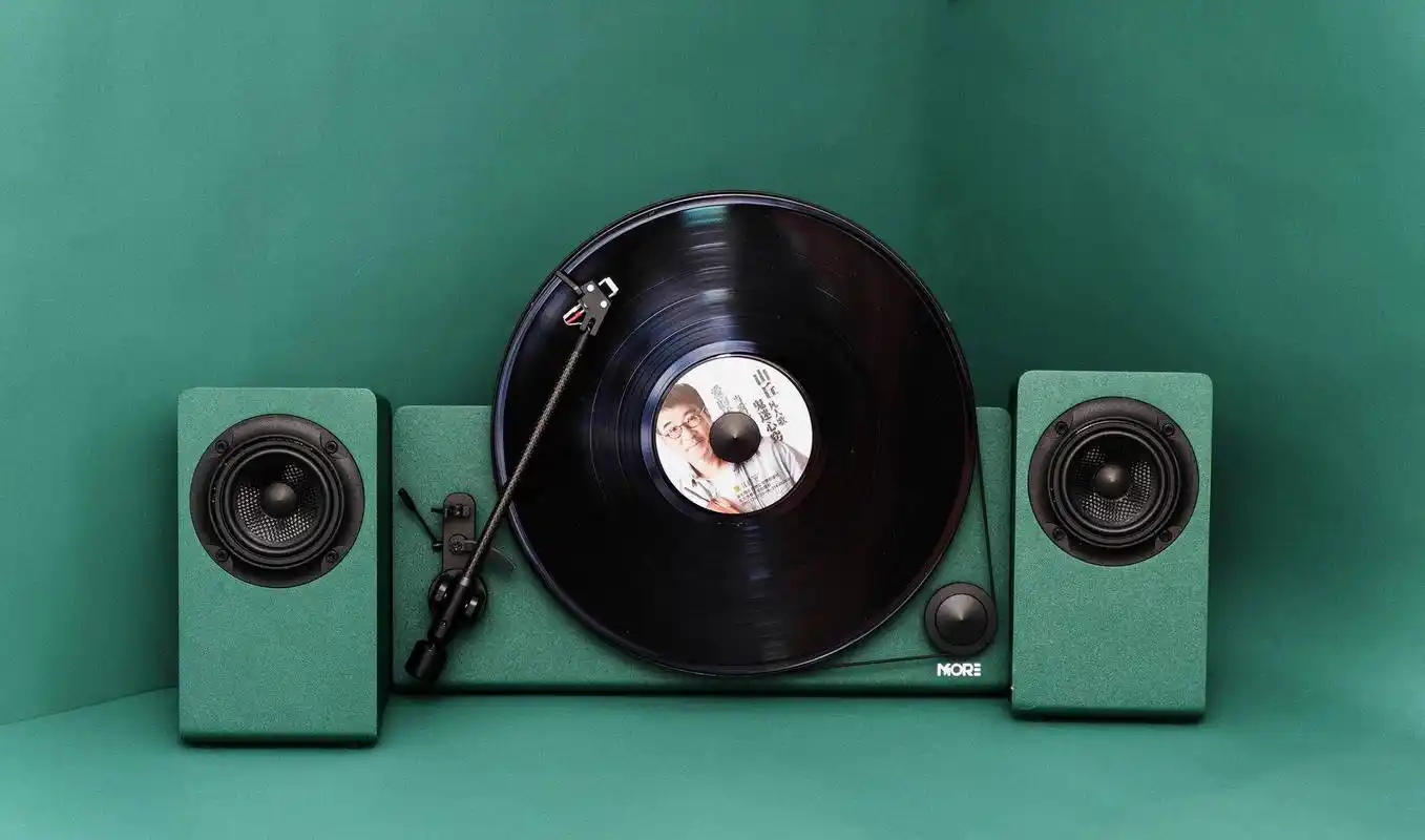 梵尼诗hifi立式分体黑胶唱片机这是男人最后的浪漫