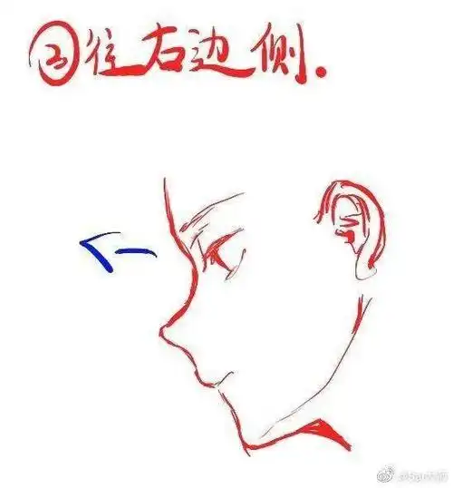 侧脸绘画