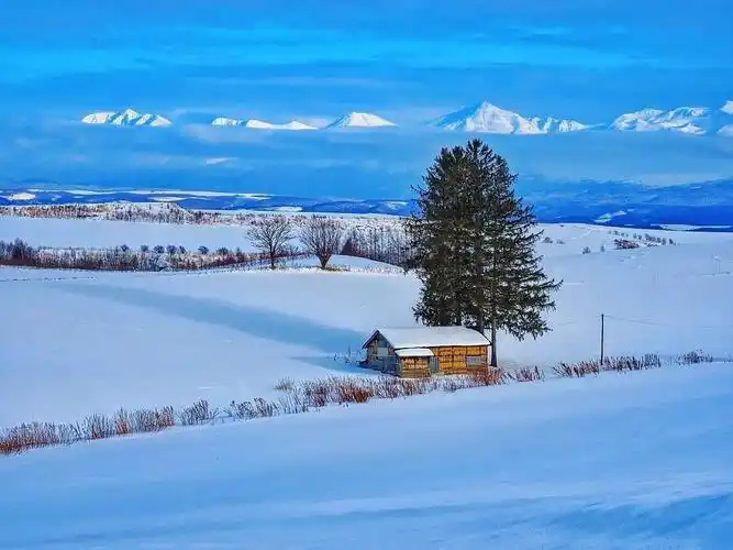 日本 北海道 美瑛町
