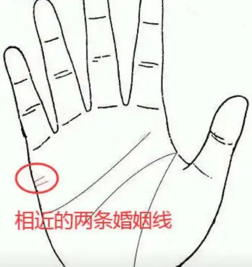 老肖漫谈##初心易学#婚姻线浅析(七)有两条婚姻线,长短相同,互相频热
