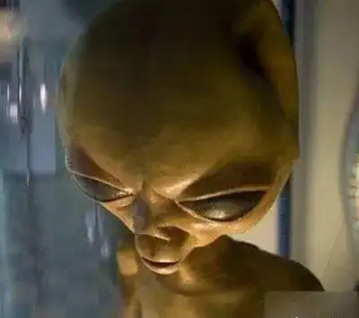 世界上有外星人吗(世界上有外星人吗证据)