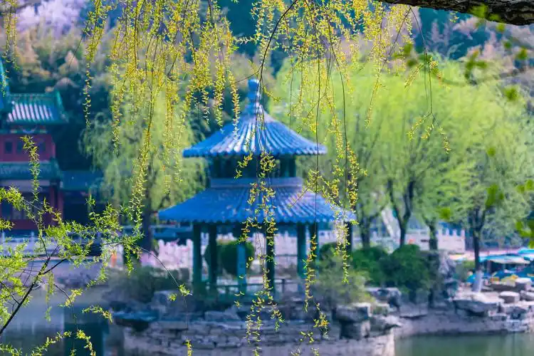 济南红叶谷的春天竟然也是如此的美山水相映半坡红