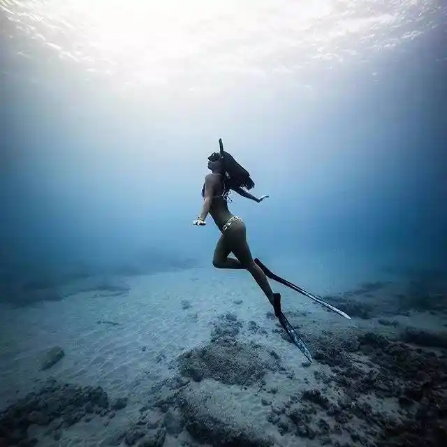 自由潜水的美女