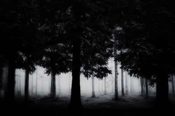 黑暗恐怖的森林