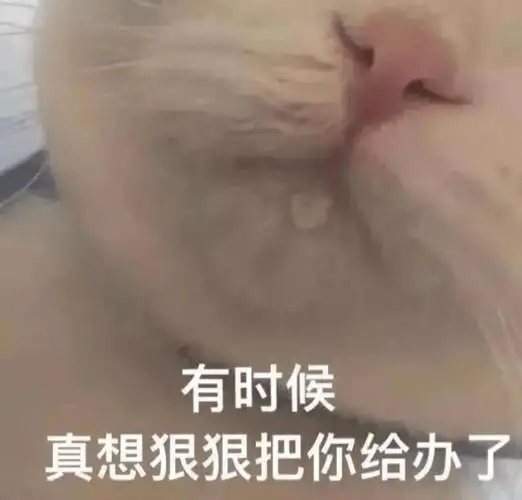 污污的表情包:脑子里净装这个了!