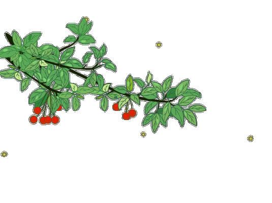 透明gif花草素材