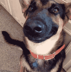 做个安静爱笑的美男子