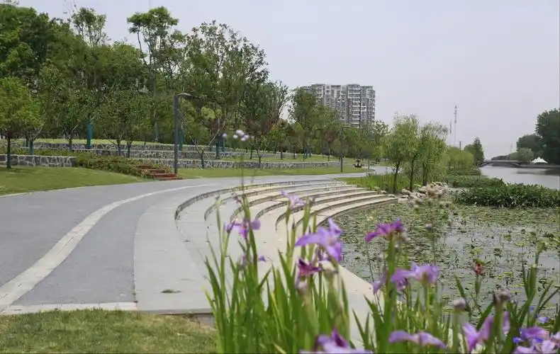 对原有驳岸进行改造,改善亲水体验