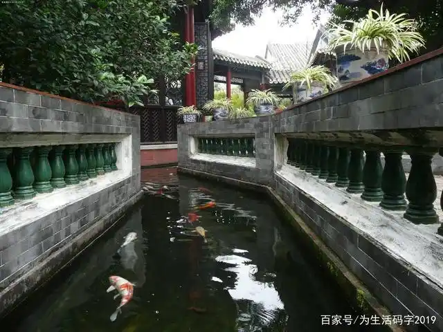 水池