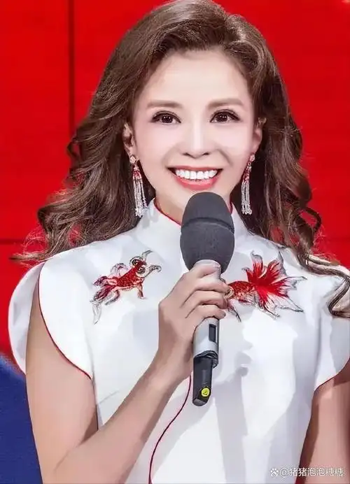 她曾是中央电视台最受欢迎和最有才华的主持人,多次主持春节晚会并
