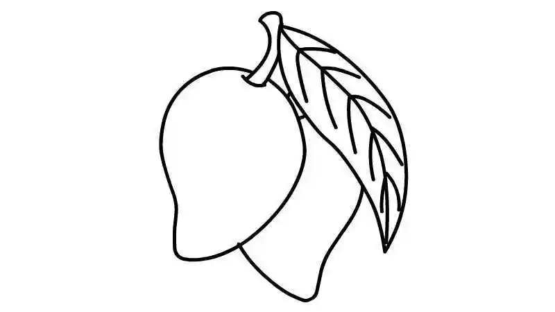 芒果简笔画