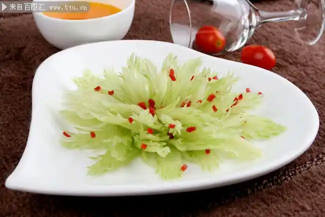 凤尾西芹图片素材