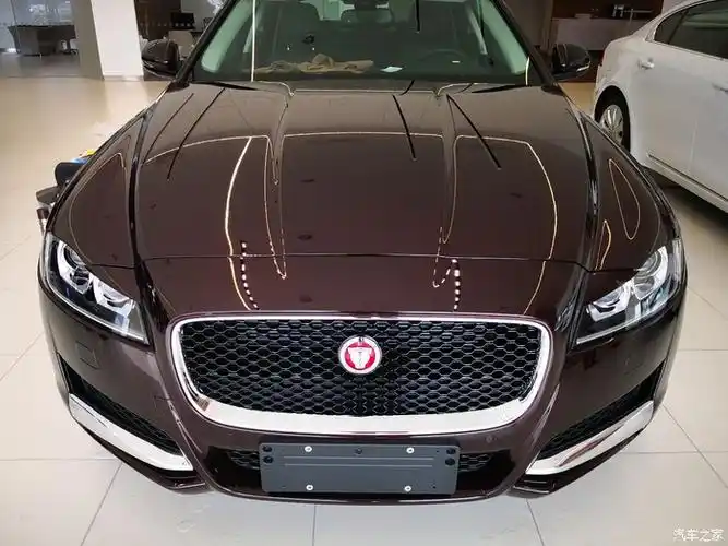 【图】蓝色小豹子,犹如内心骚动的心,_捷豹xe/xel论坛_汽车之家论坛