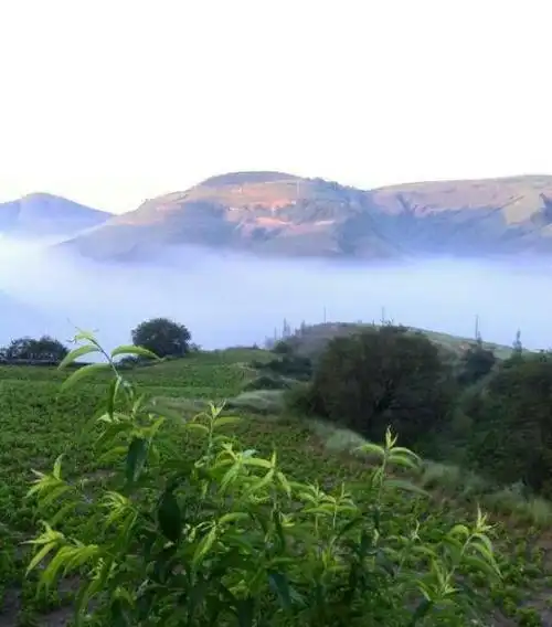 大山深处世外桃源图片,大山深处美景真实照片