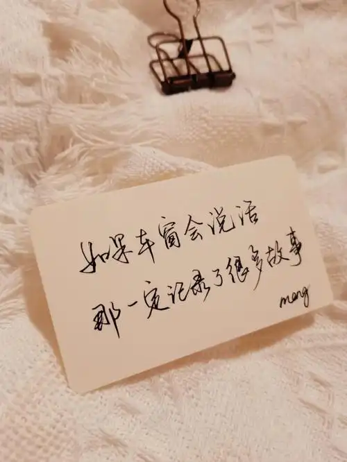 手写我不是没脾气只是说出来没意义78