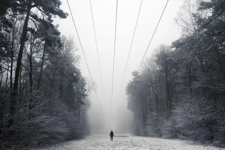 "只有孤独才是真正属于自己一个人的.