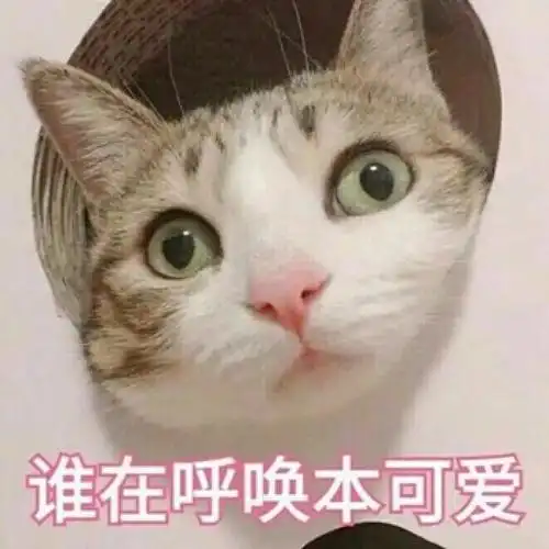 【表情包】表情包 喵星人可爱表情
