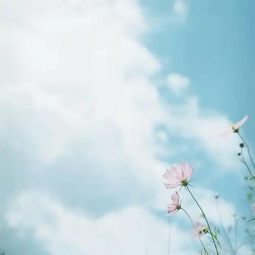 酷炫霸气游戏家族的名字