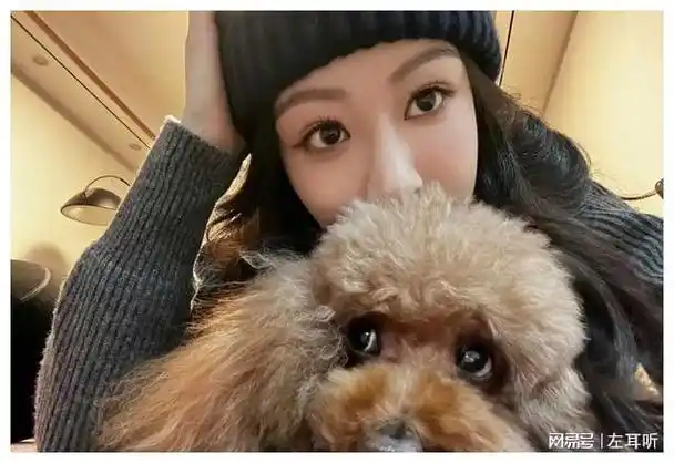 成毅|杨洋|谭松韵|华语歌手|综艺节目|天天向上|大批粉丝_网易订阅