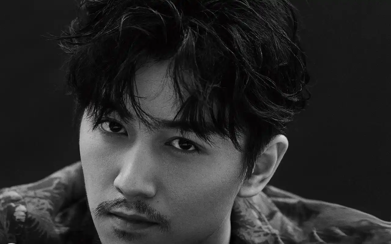 陈晓成熟黑白杂志写真高清图片壁纸