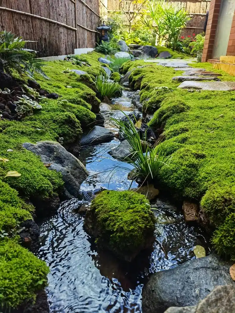 什么是生态鱼池? 区别于传统的钢筋混凝土水池,是仿造自然界水 - 抖音