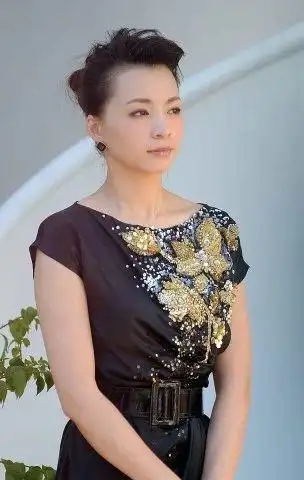 央视主持人董卿近况曝光:最近情况没有近期消息