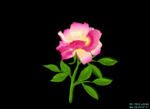 摄影 动态植物 风景 花朵 闪图闪字 .