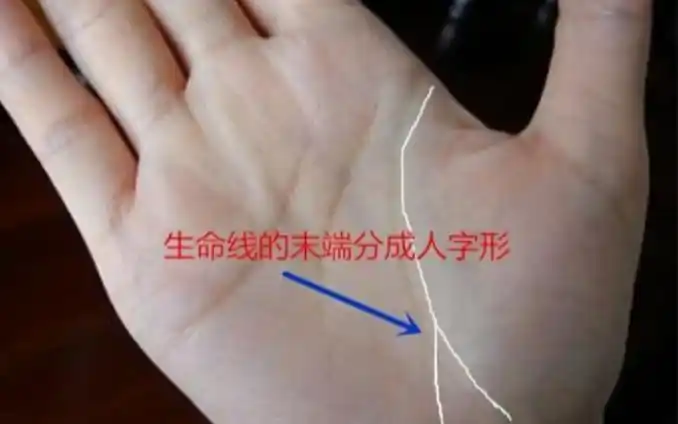 生命线末端分叉代表什么?