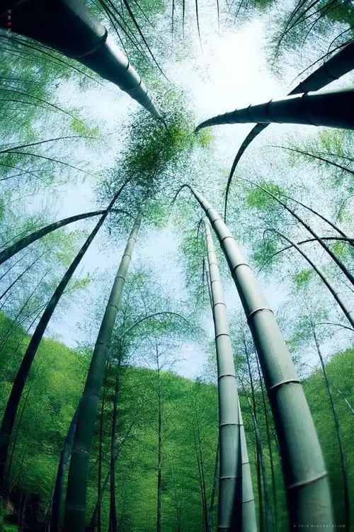 散文:择一处清幽,慢享人生风景