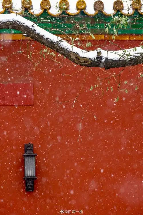故宫雪景##春节摄影大赛##北京暴雪