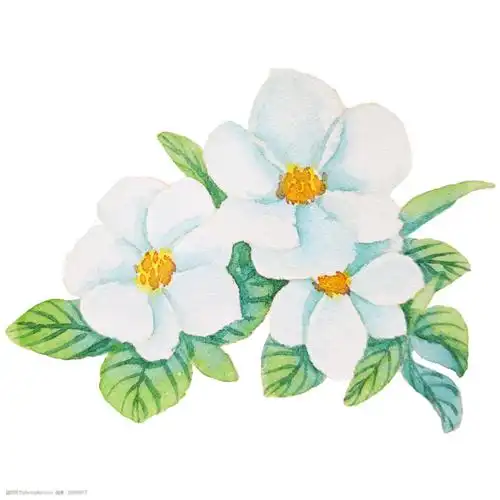 白色的小花装饰插画图片-图行天下图库
