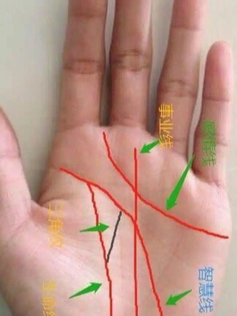 在手纹学里,生命线有向上伸展,连接智慧线而成的三角纹,叫做希望纹