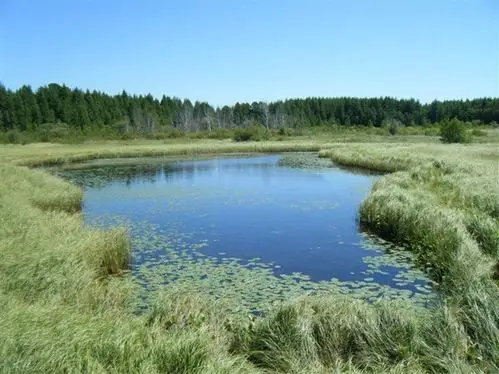 月亮湖水库风景区位于吉林省大安市境内一泡水相连的弯形湖泊岸边走走